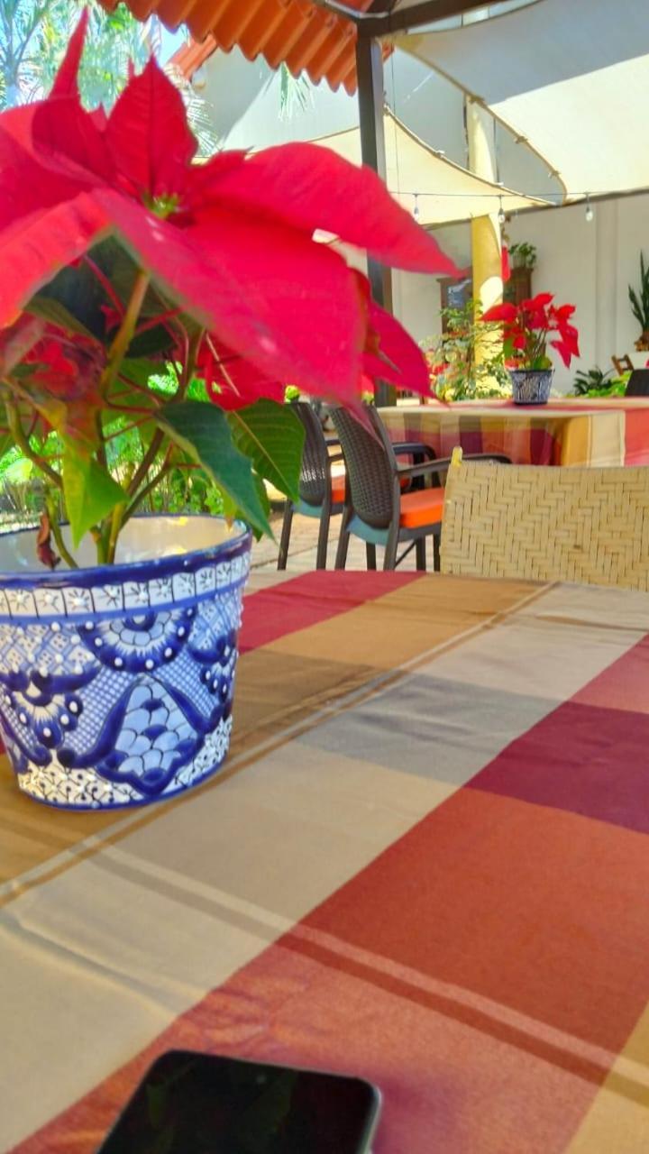 TiculQuinta Rosita住宿加早餐旅馆 外观 照片