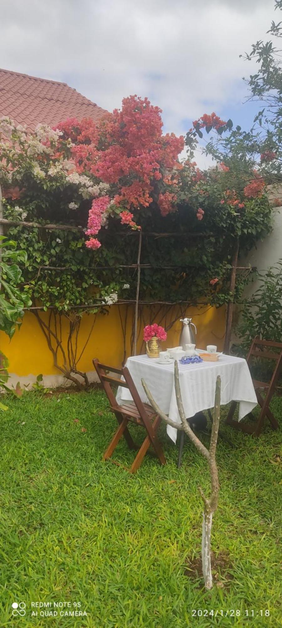 TiculQuinta Rosita住宿加早餐旅馆 外观 照片