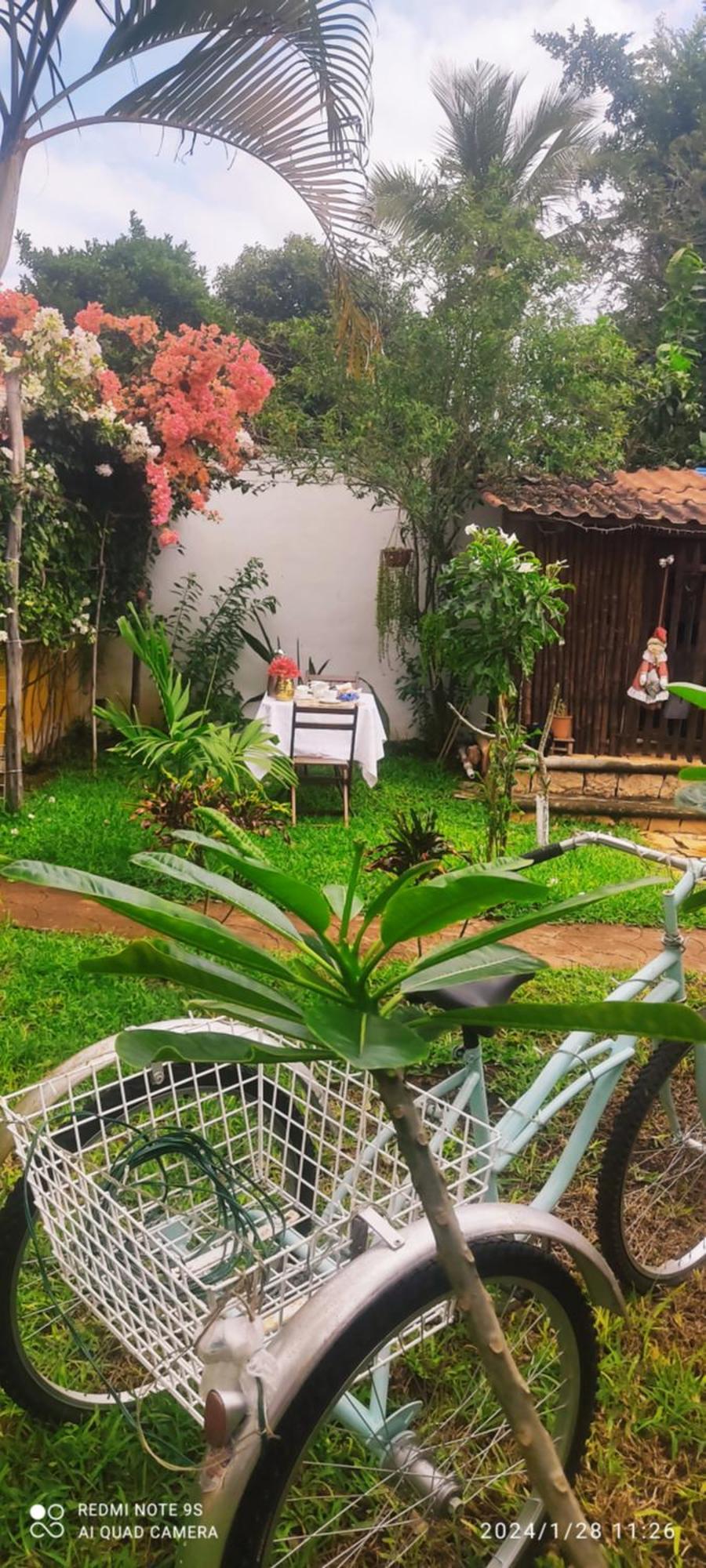 TiculQuinta Rosita住宿加早餐旅馆 外观 照片