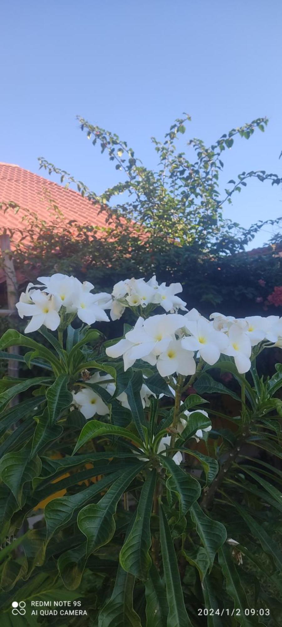 TiculQuinta Rosita住宿加早餐旅馆 外观 照片
