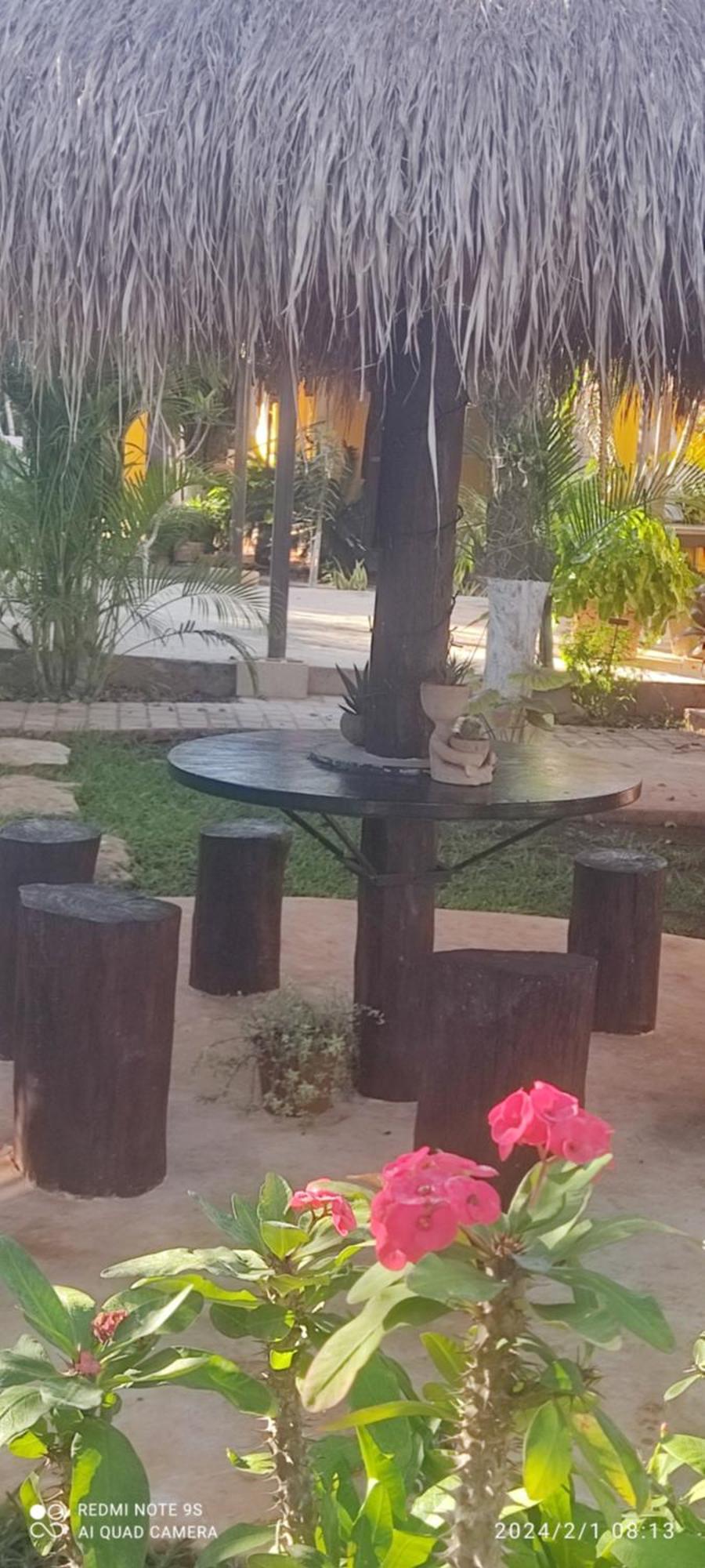 TiculQuinta Rosita住宿加早餐旅馆 外观 照片