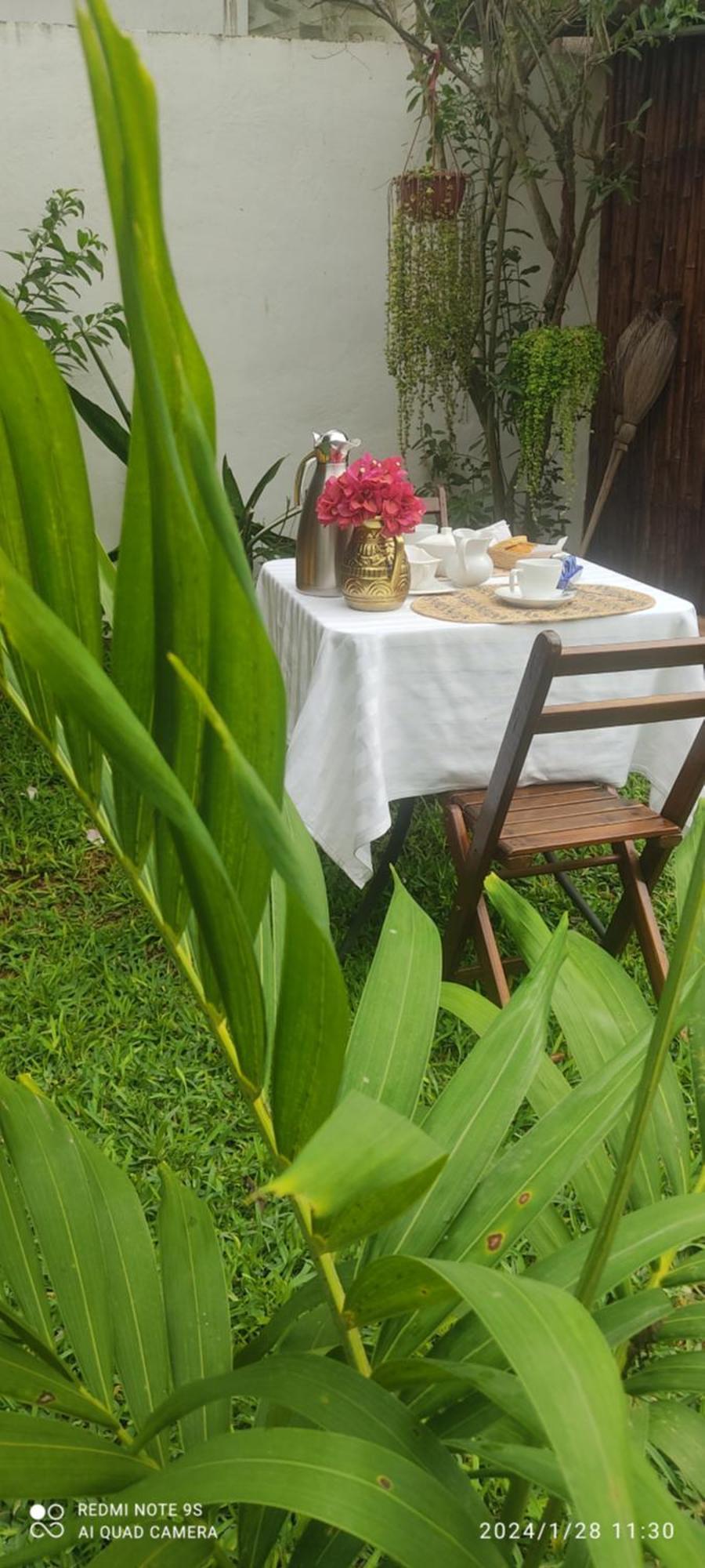 TiculQuinta Rosita住宿加早餐旅馆 外观 照片