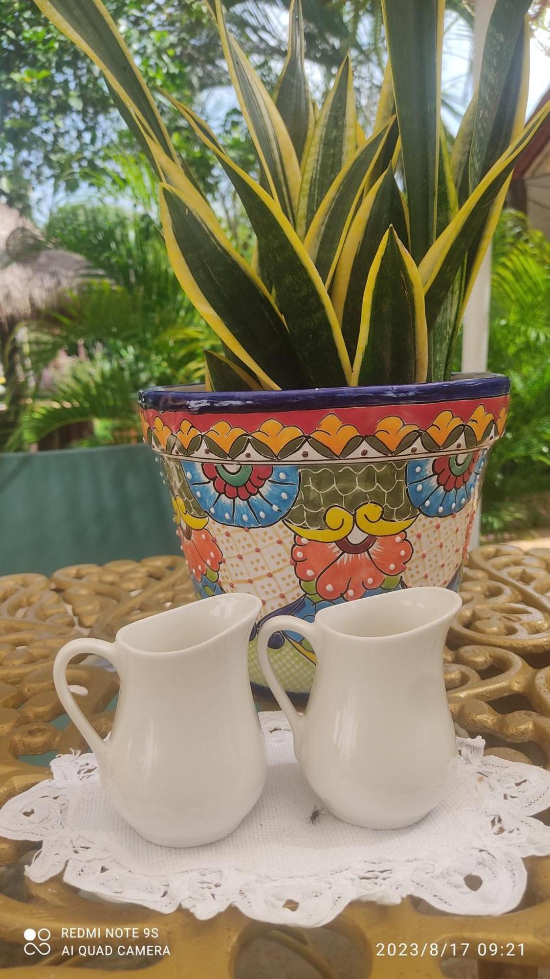 TiculQuinta Rosita住宿加早餐旅馆 外观 照片