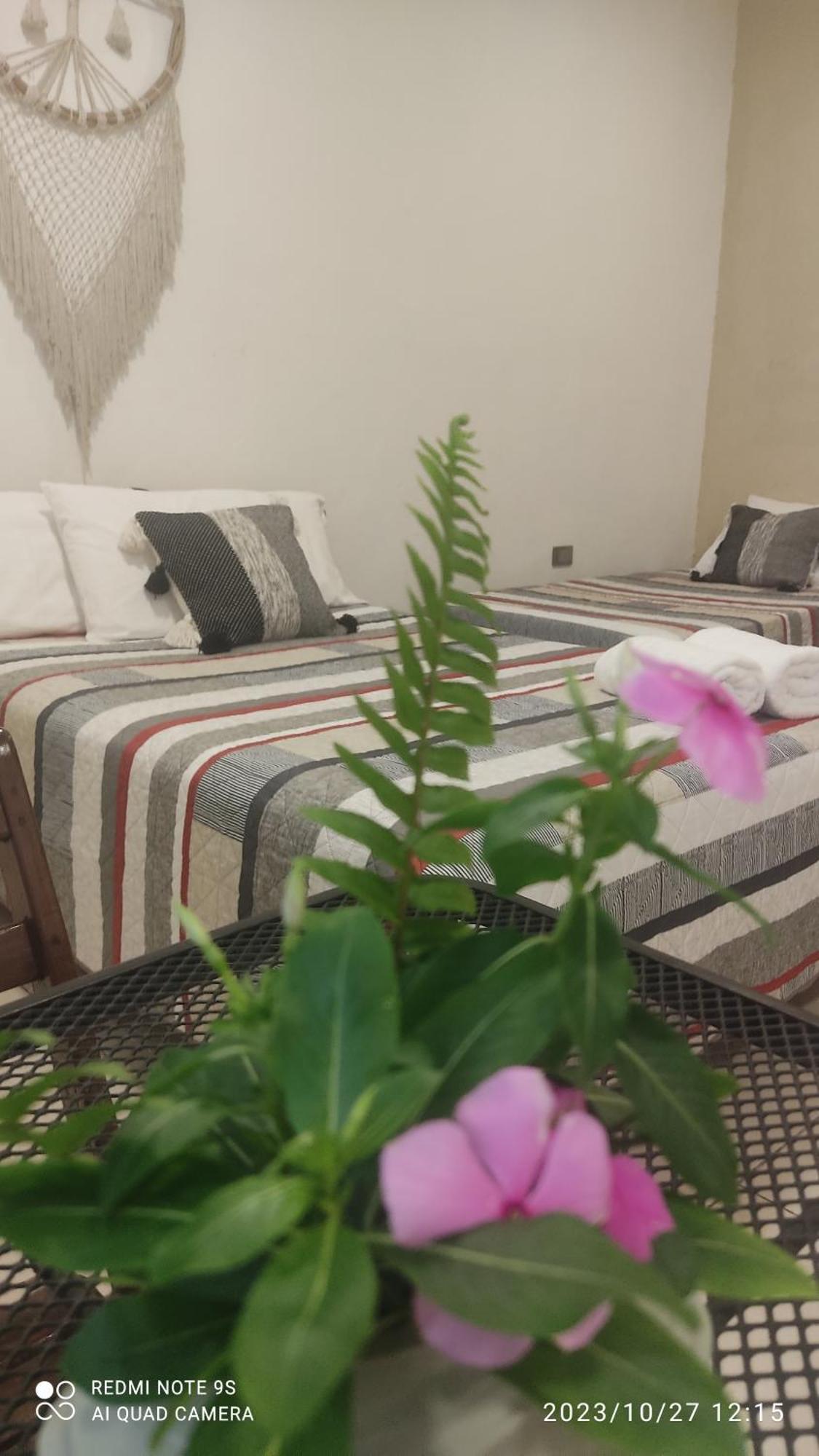 TiculQuinta Rosita住宿加早餐旅馆 外观 照片