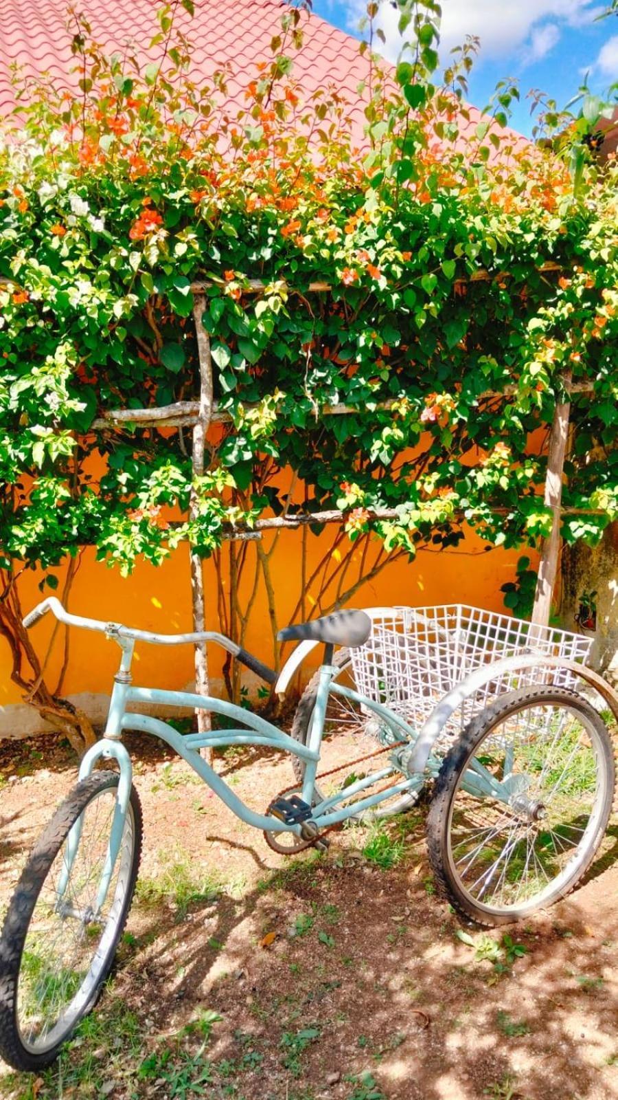 TiculQuinta Rosita住宿加早餐旅馆 外观 照片